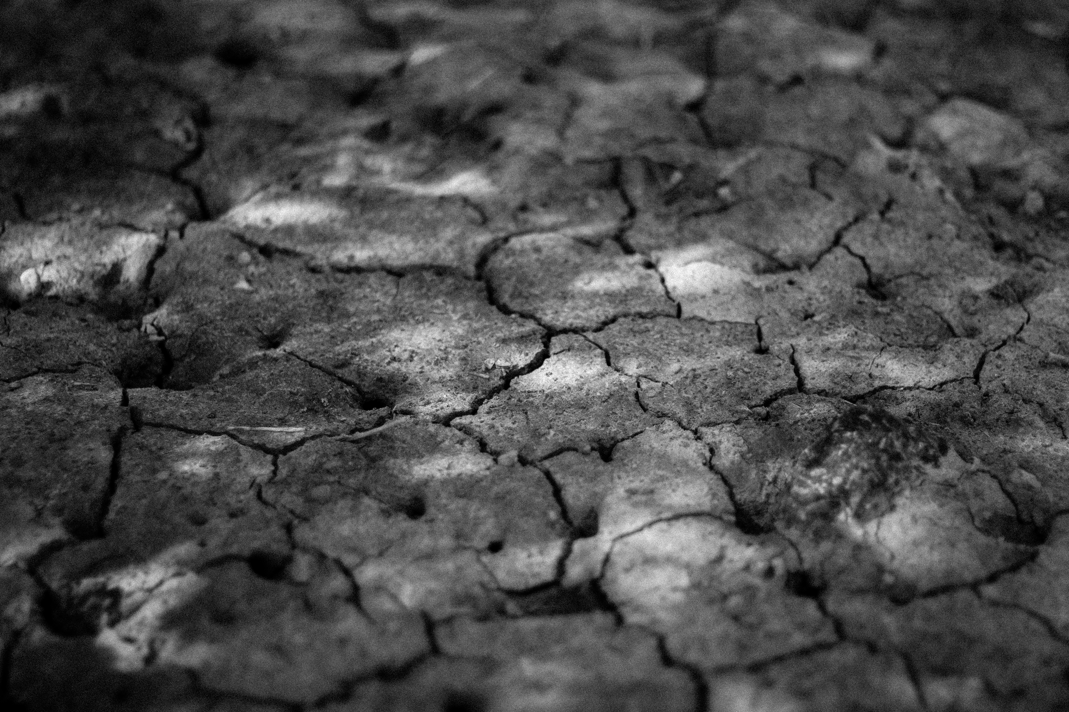 cracked earth / ground on dry river bed