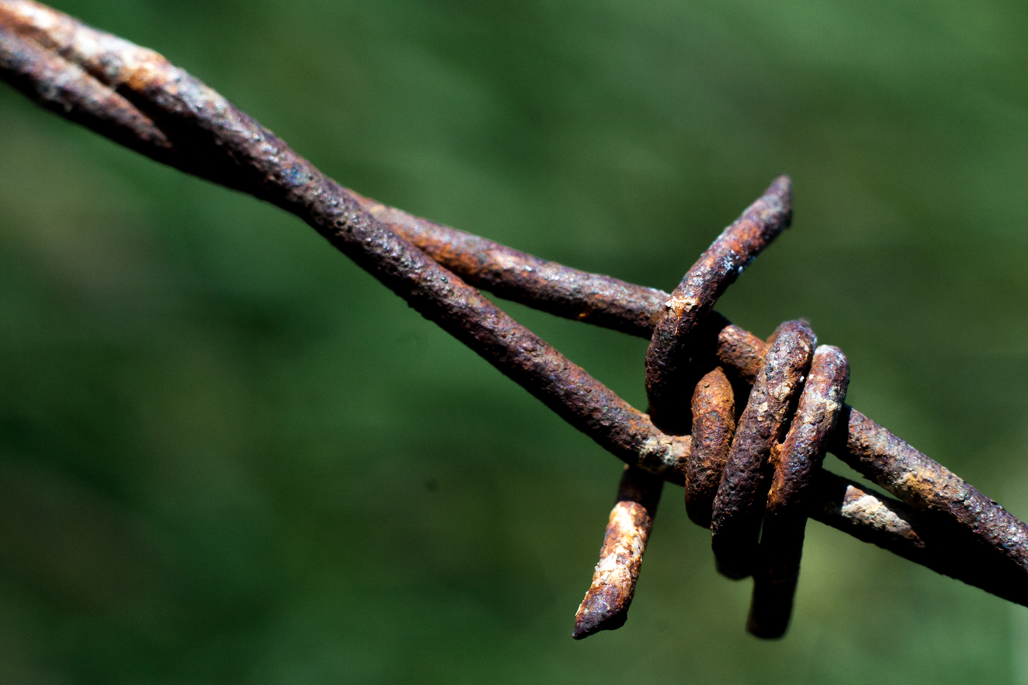 close up of a single point of some old rusted barbed wire