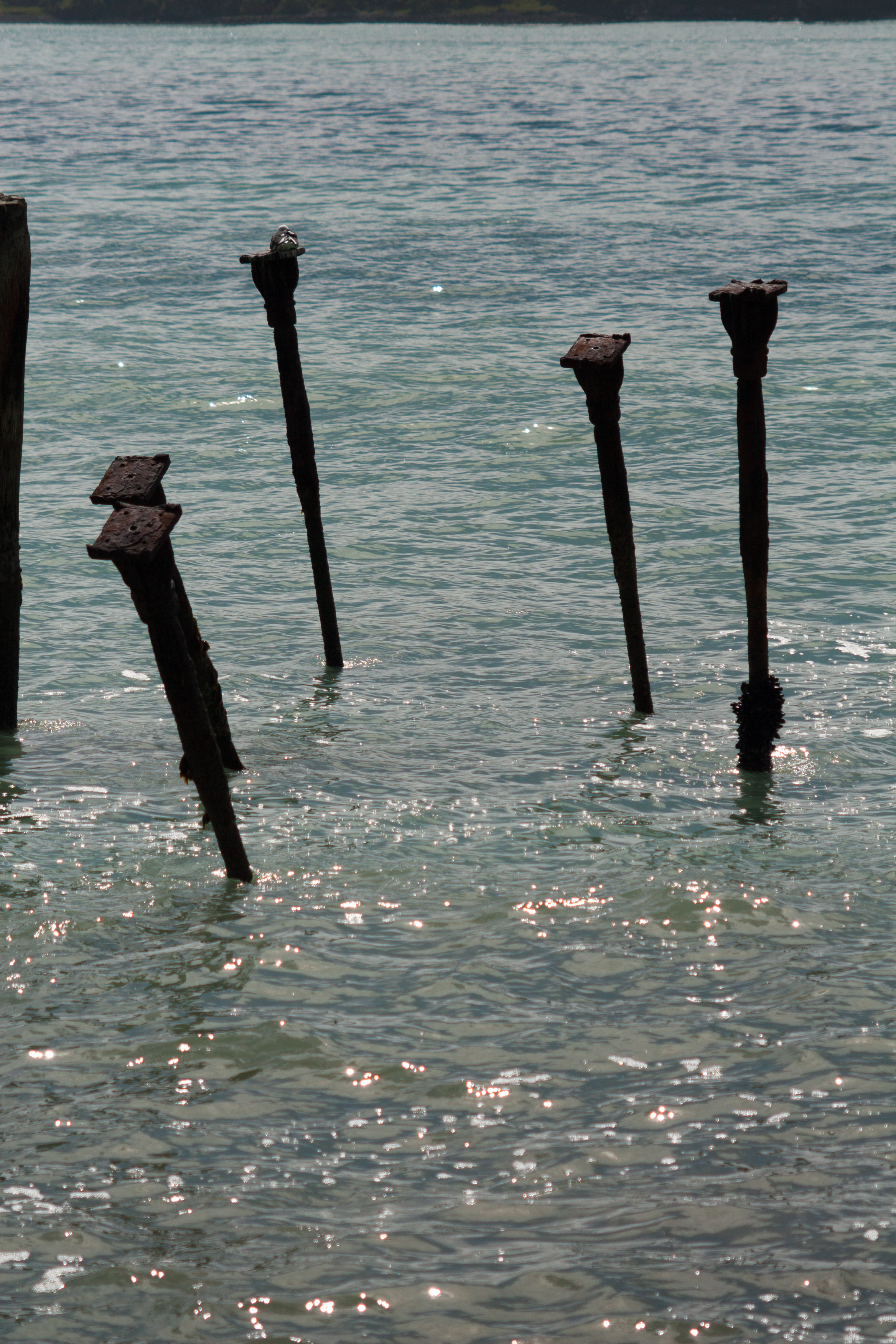 remains of an old wharf or pier sticking out of the water looking like stilts