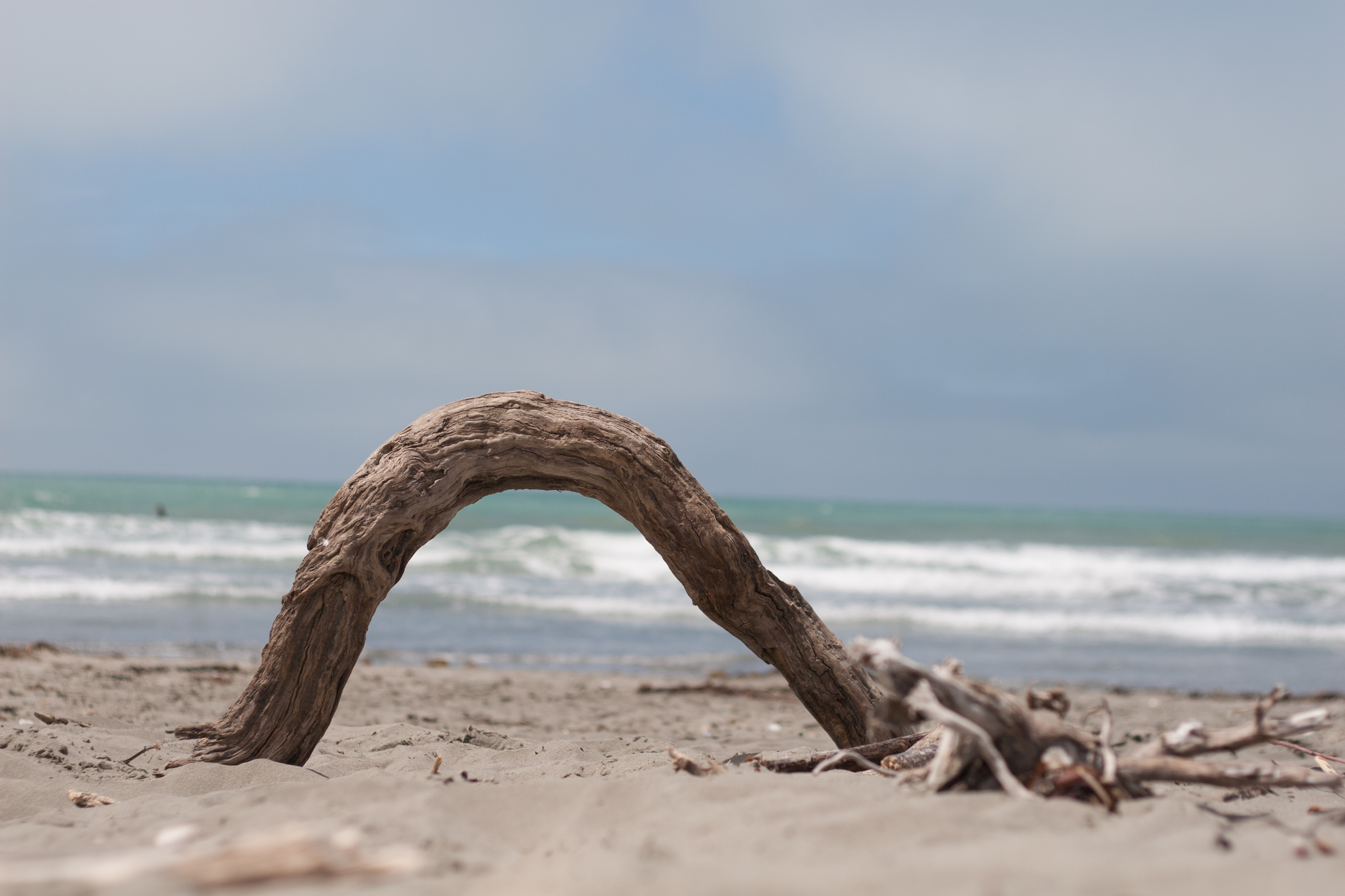 an odd shaped piece of wood against the sea and sky