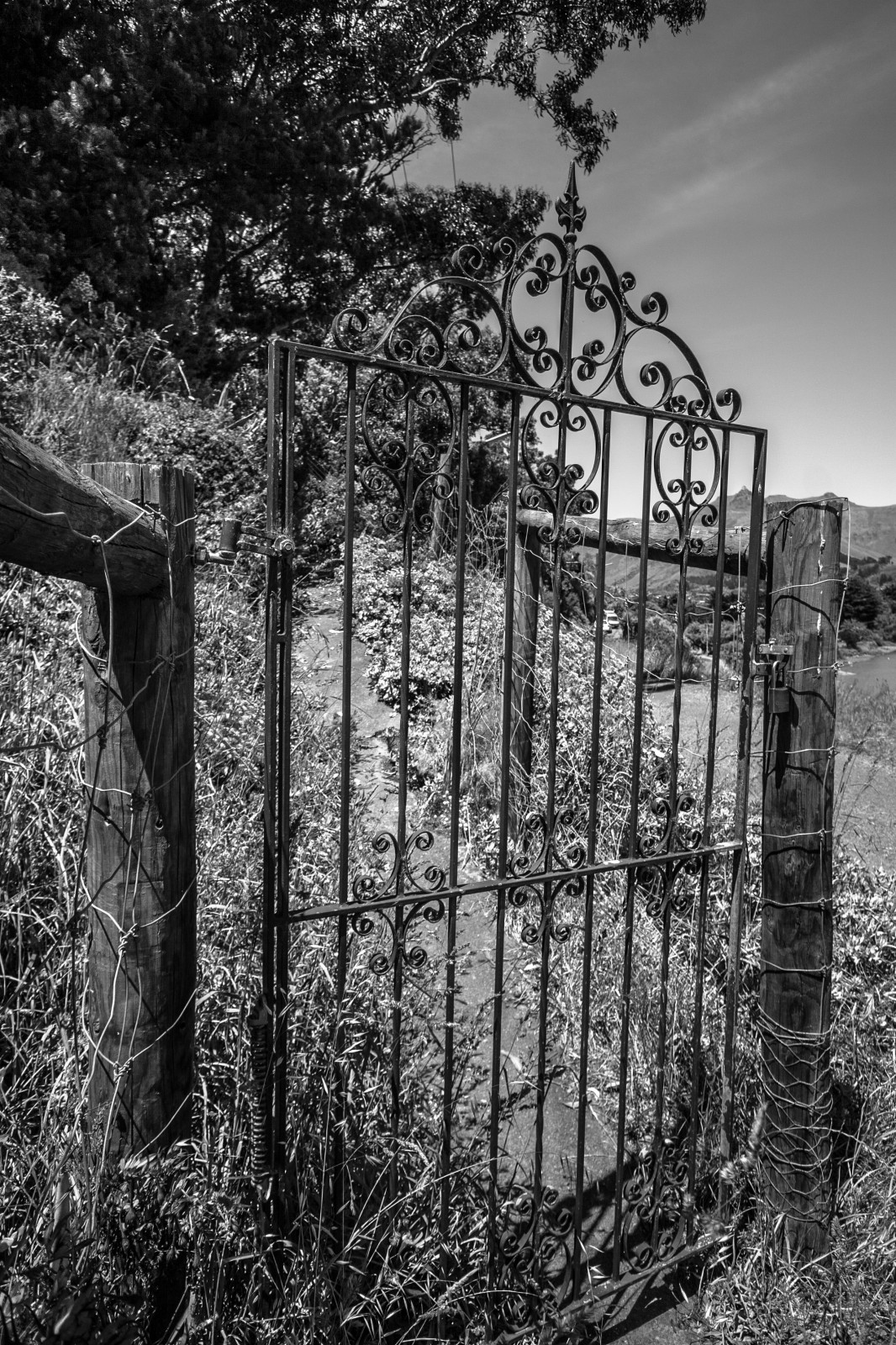 haunted looking gate
