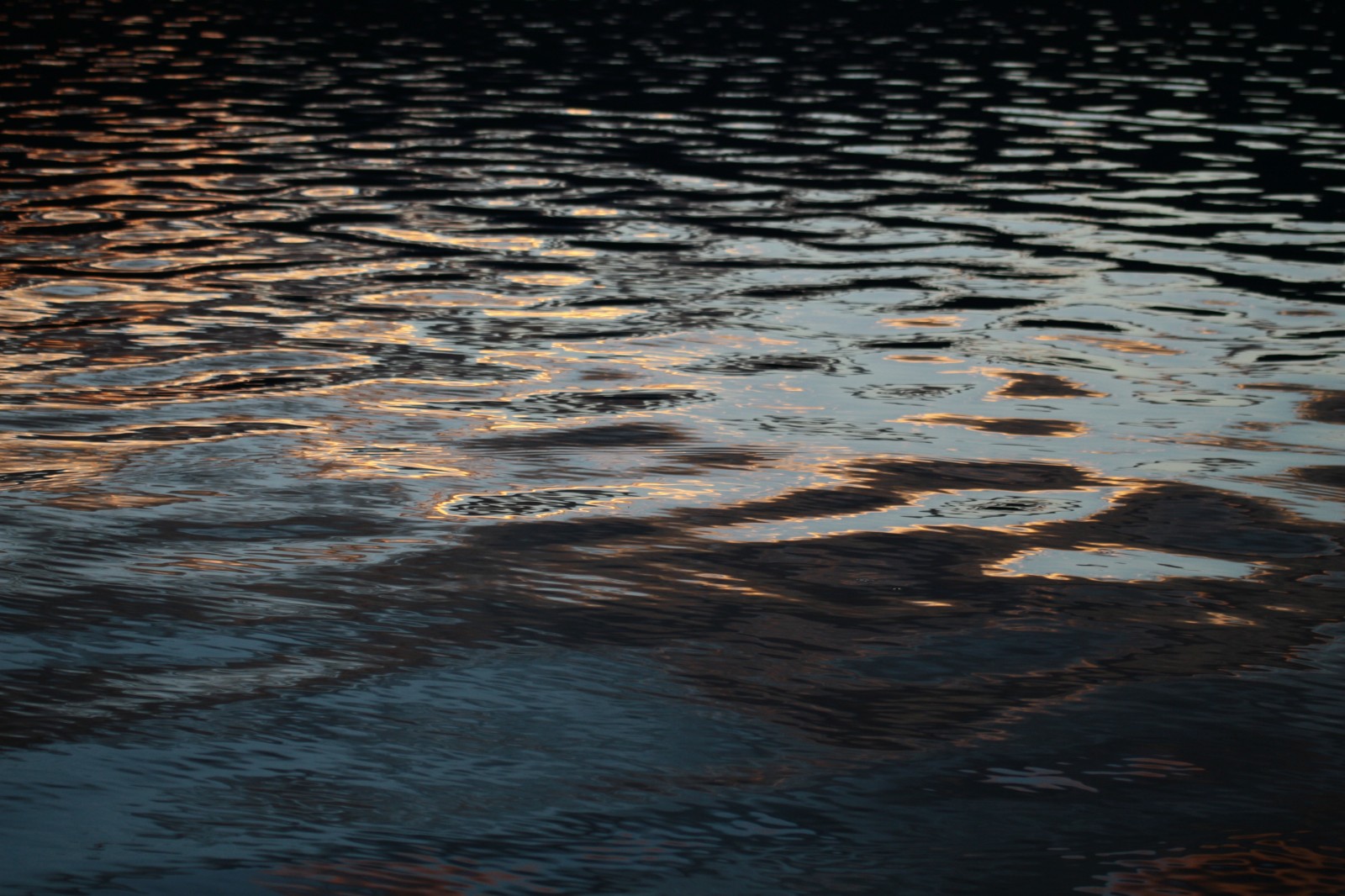 reflection of the sunrise on the ripples on water in a  lake