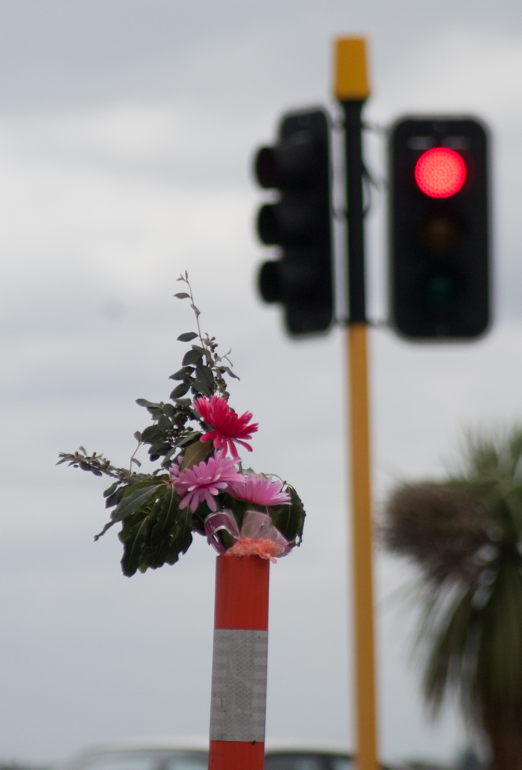 flowers in a road cone - two years exactly from the 22/02/2011 christchurch earthquake