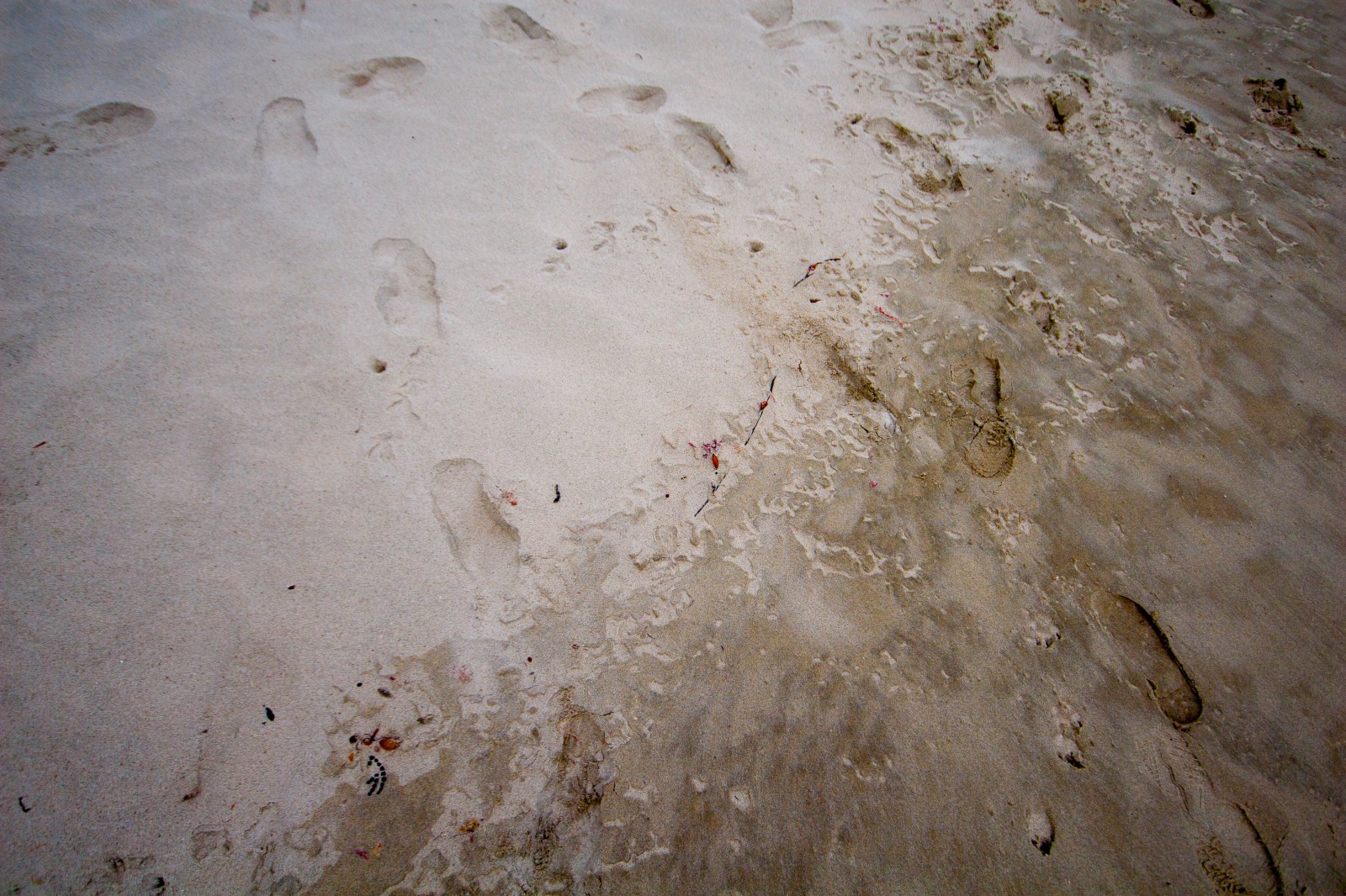 wet sand