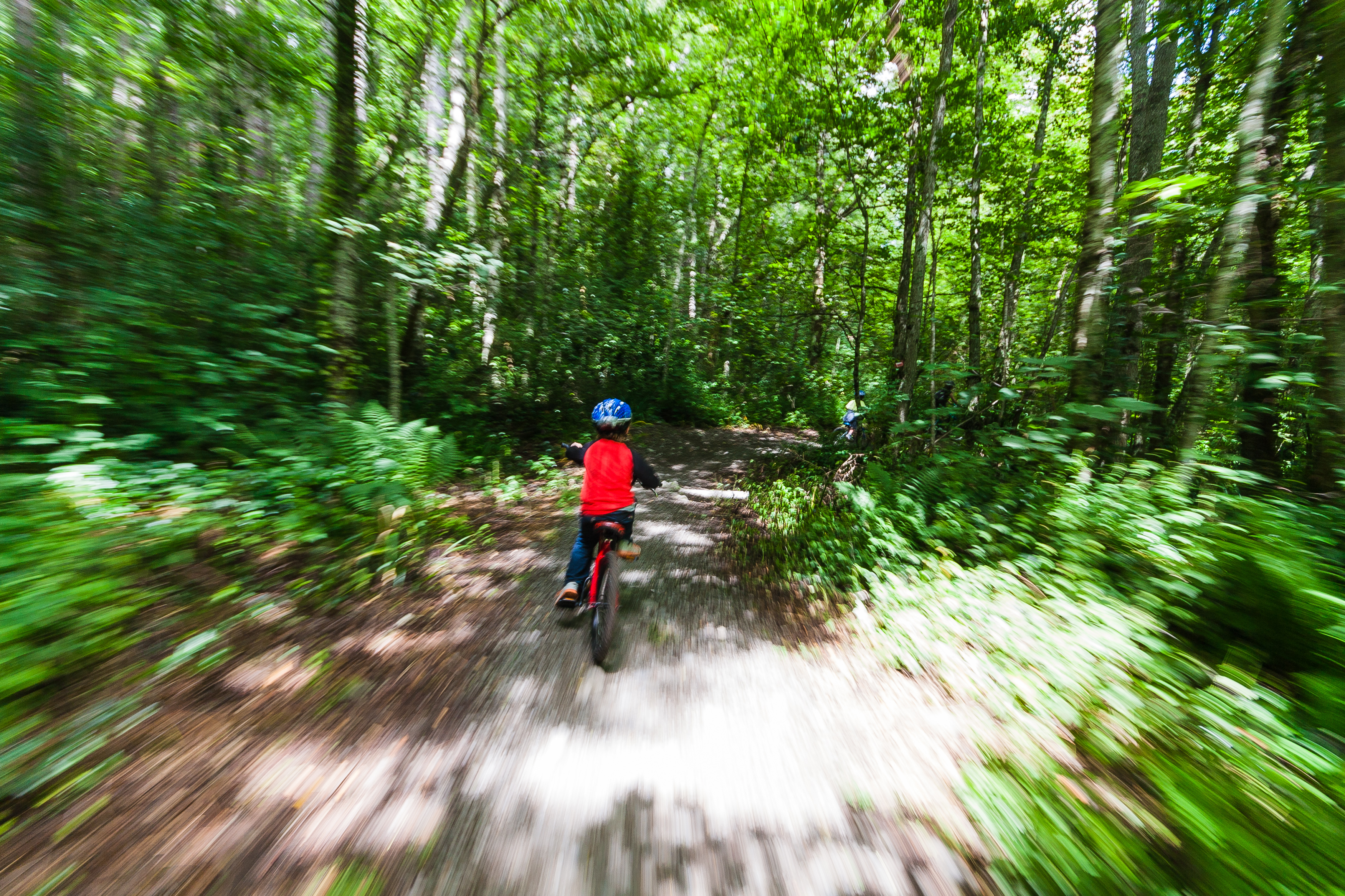biking through a forest